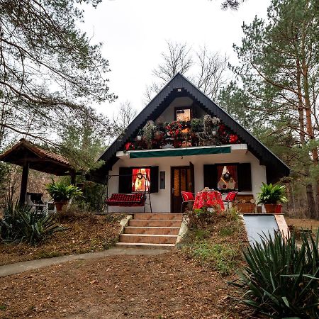 Ladybird Lodge Bela Crkva (Banat) Exterior foto