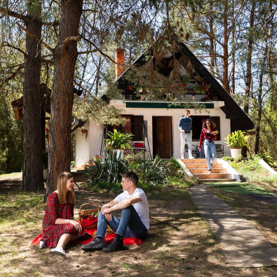 Ladybird Lodge Bela Crkva (Banat) Exterior foto